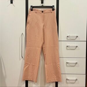 Stylish pink Trousers